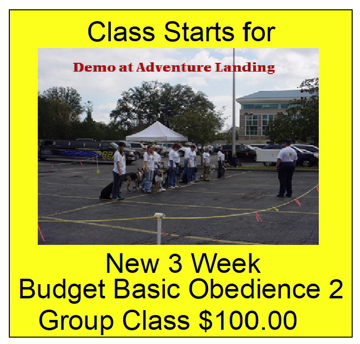 Scheurman's K9 Academy Dog Training Jacksonville Florida